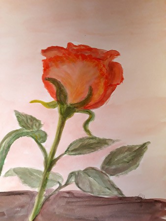 Rose 19,5cm x 27cm auf Papier